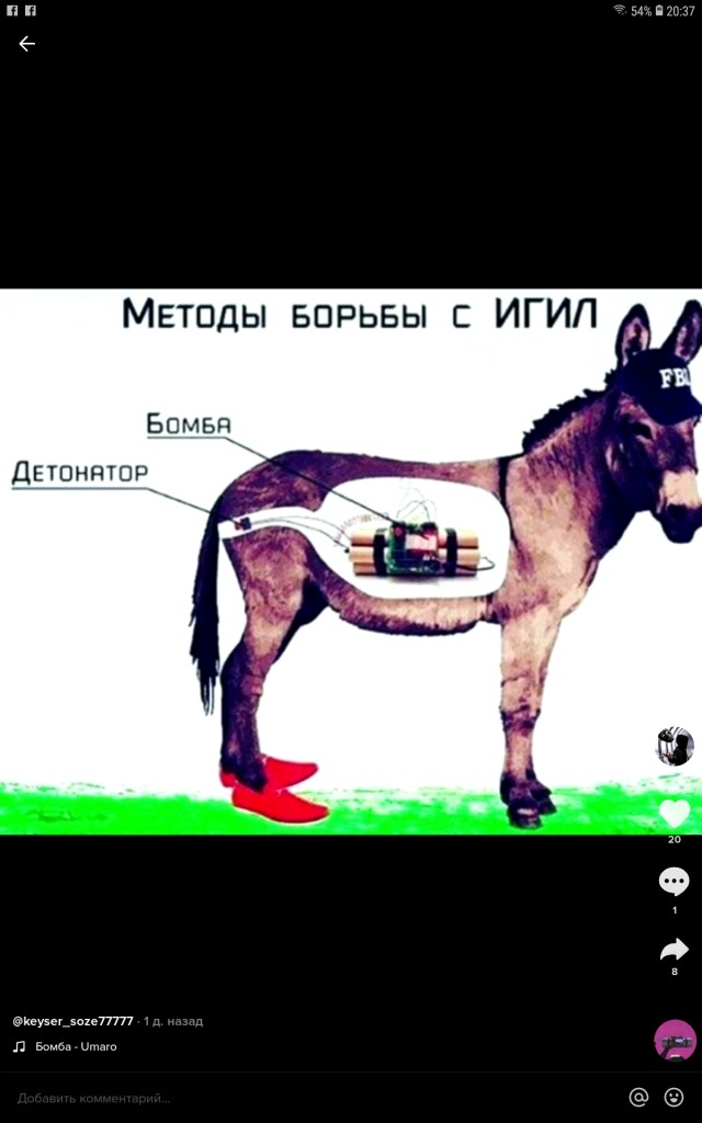 Дагестанский вууучёный делится знаниями, почему нельзя есть свинину!