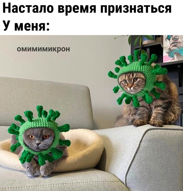 Так себе картинки 15.02.22