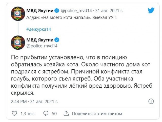 Весёлый полтишок 18.02