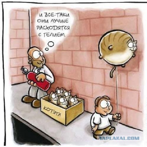 И все-таки они летают