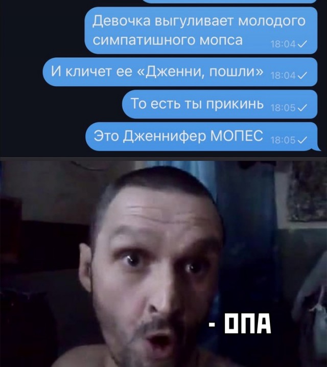 Весёлый полтишок 11.04.22