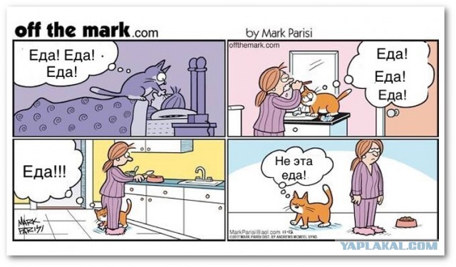 Забавные и смешные картинки на котовторник