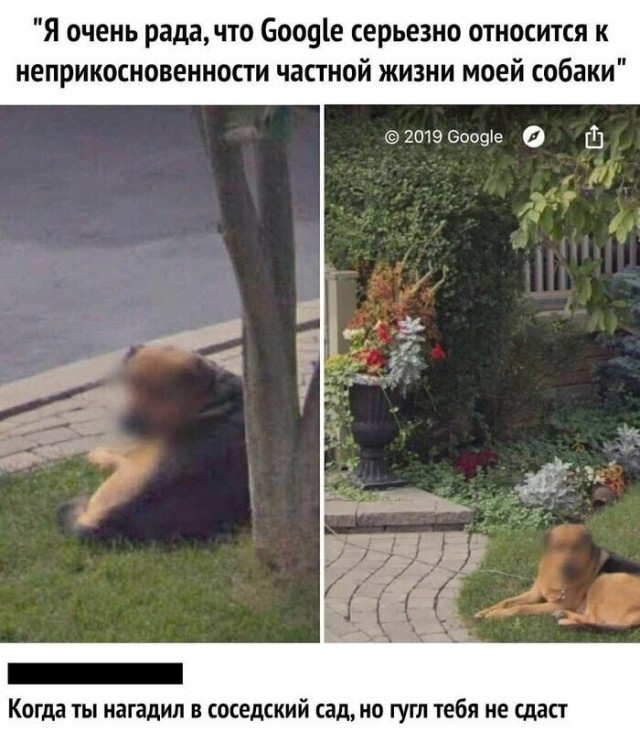 Забавные комментарии из Сети 19.06.22