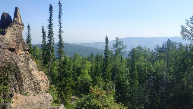 Поездка в Красноярск