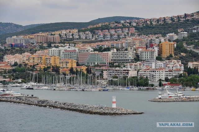 Любовь с первого взгляда