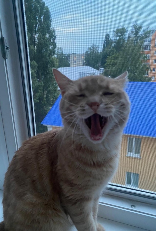 С праздником