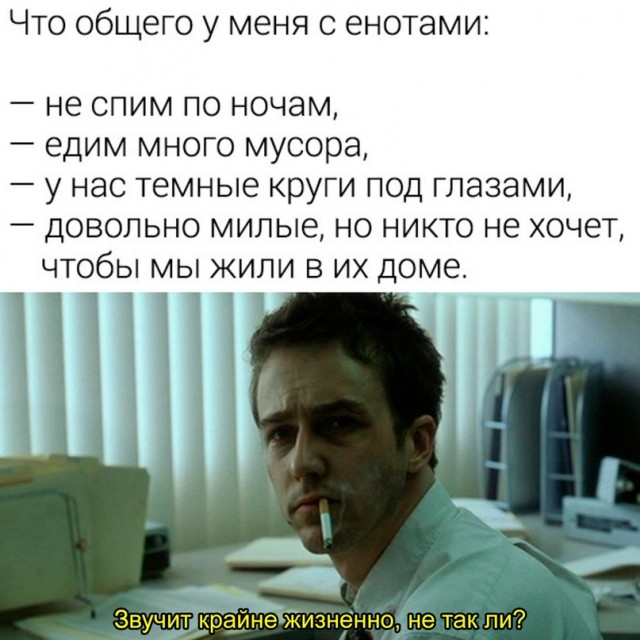 Немного картинок."Колбасный ветер". Август