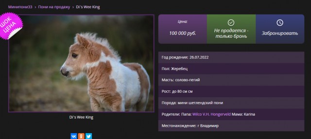 Какой классный топотунище