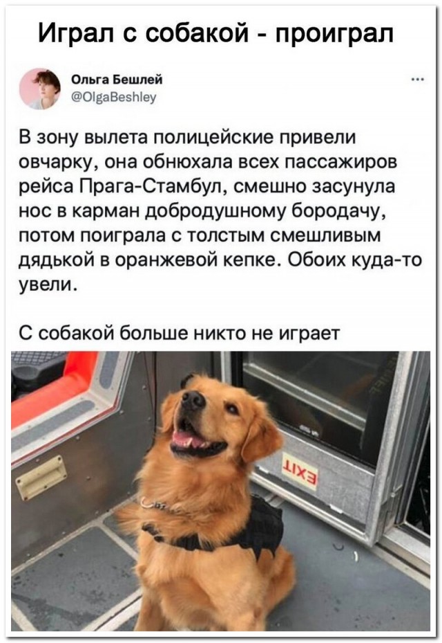 Немного картинок для настроения - 125