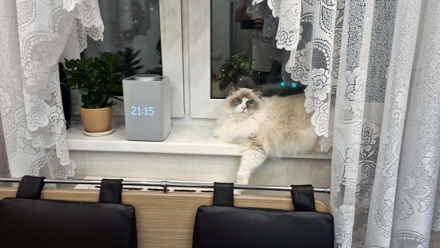 Какие подлые эти двуногие