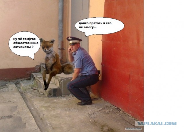 Маразм крепчал