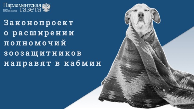 Победная поступь идиотизма по планете – том 6