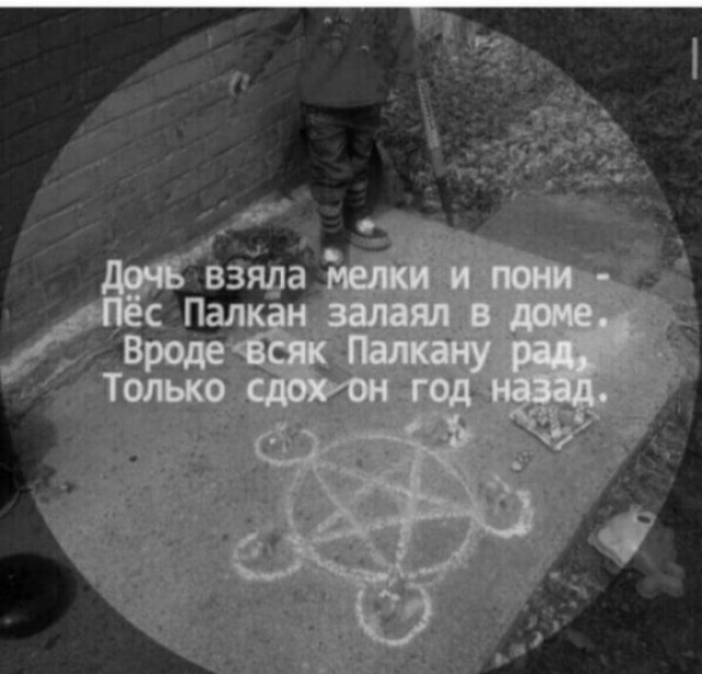 Чуток картинок 22.01.23