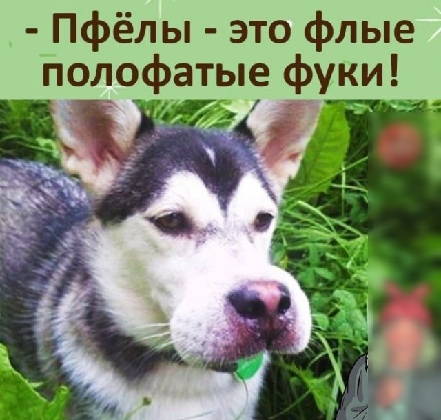 Это "ЖЖЖЖ" неспроста!