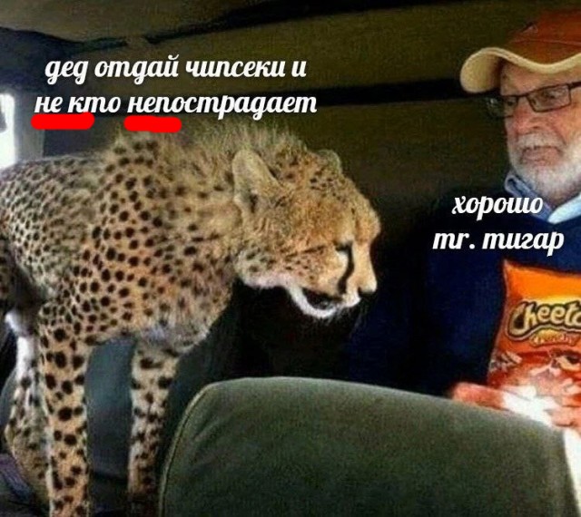 Всего понемногу 24.05
