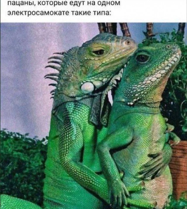 Картинки и мемы для настроения - 187