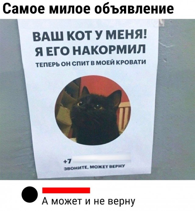 Скупка краденого из сети 08-08-2023