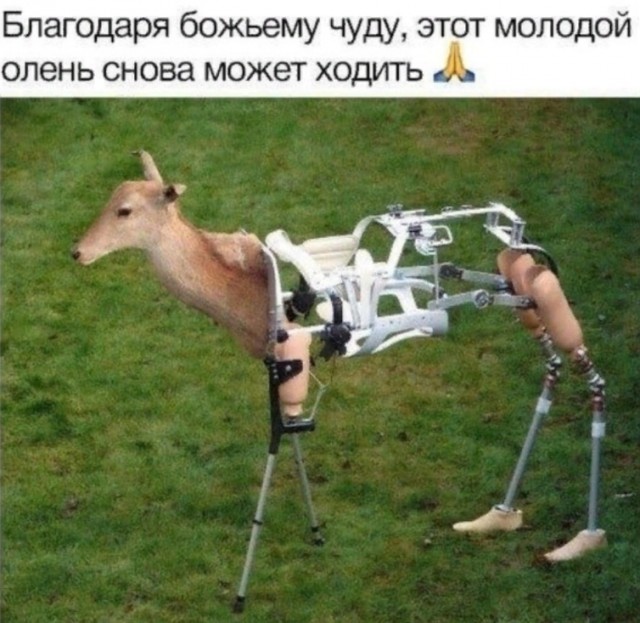 Слава богу, я безбожник #7