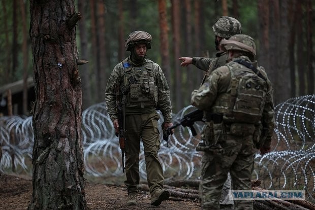 В Белоруссии заявили о сосредоточении 120 тысяч бойцов ВСУ в направлении страны