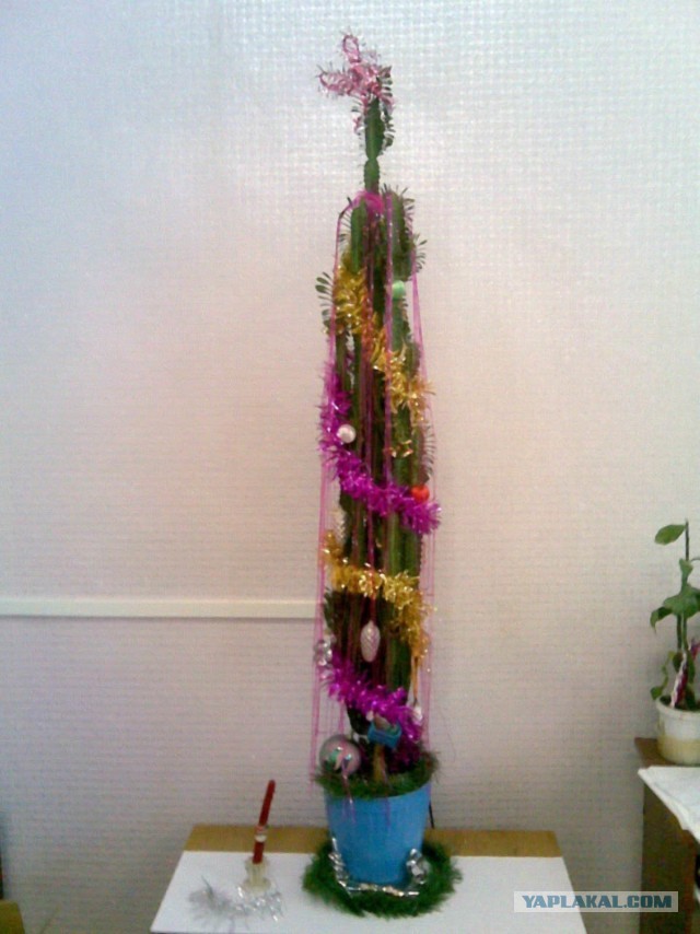 Почистил телефон