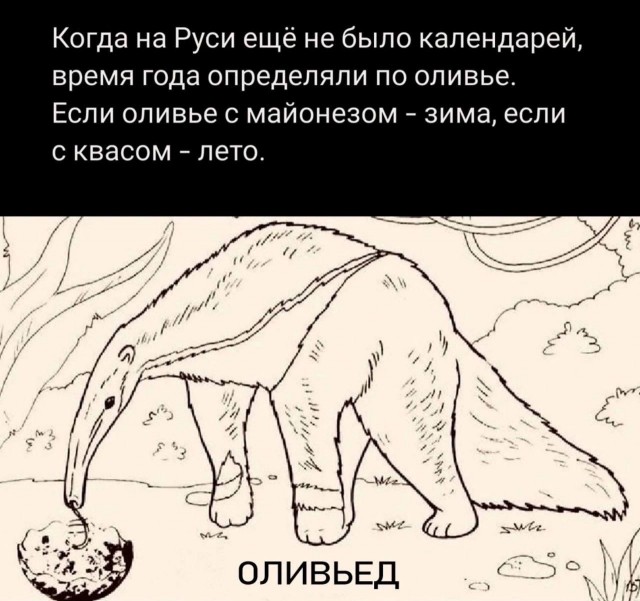 Отряд быстрого деградирования