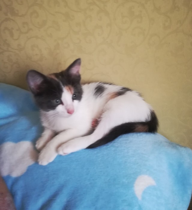 Здравствуйте, доброе утро