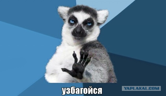 Ценный специалист с молотком
