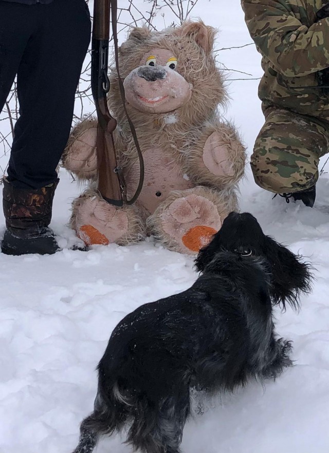 Новый Друг