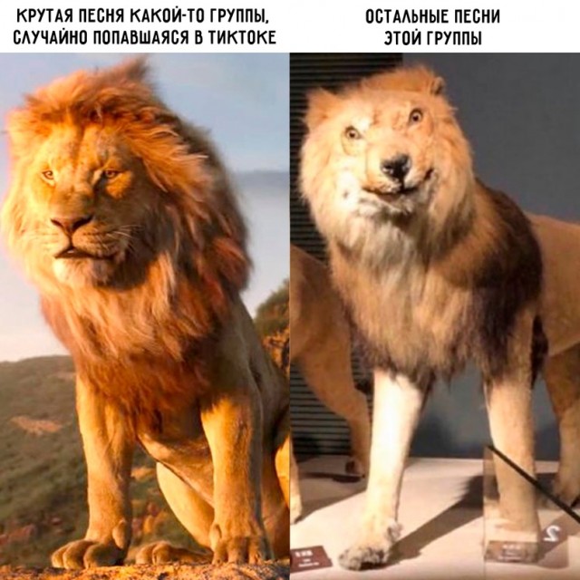 Весёлый полтишок 27.05.24