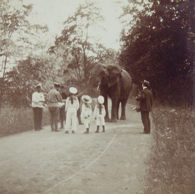 Прогулка по Санкт-Петербургу 1909 года