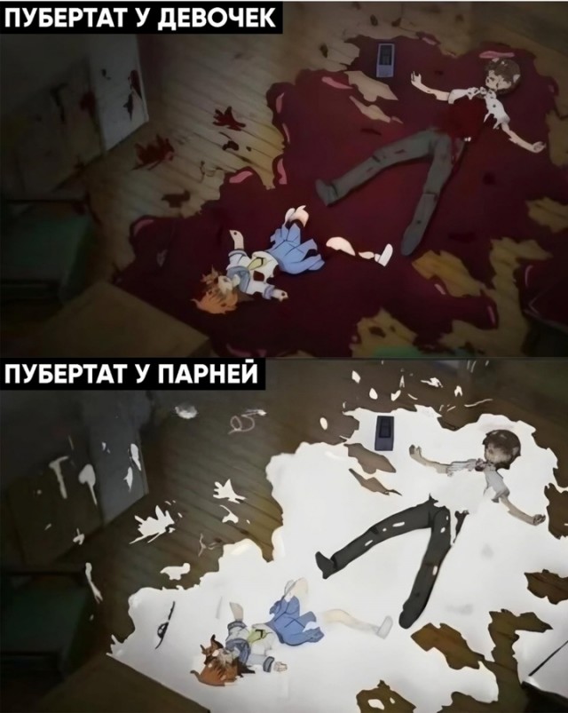 Весёлый полтишок 17.06.24