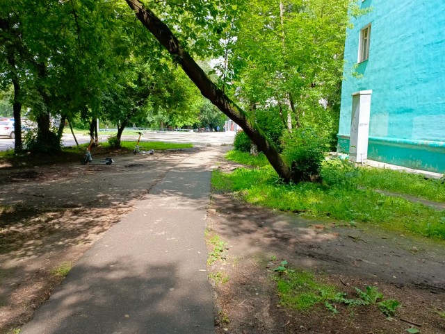 Первая жертва: мужчину убило дерево, которое упало из-за шквалистого ветра в Москве