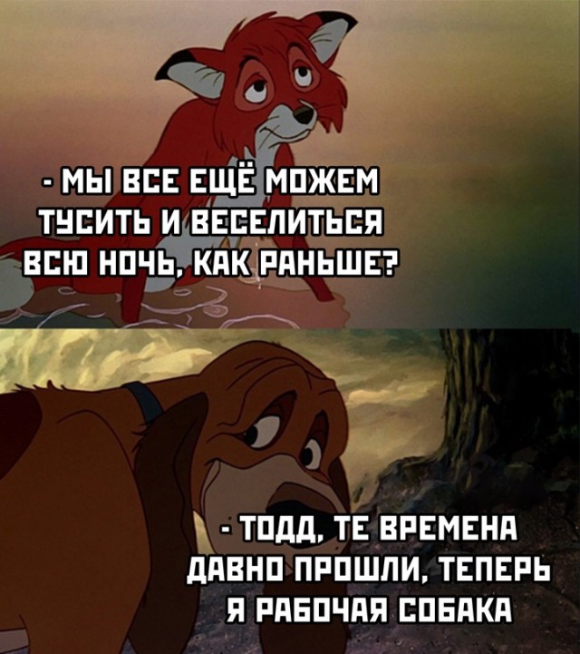 Весёлый полтишок 01.11.24