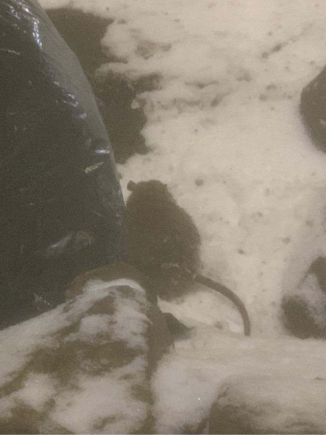 Блин. На меня пацан обиделся!