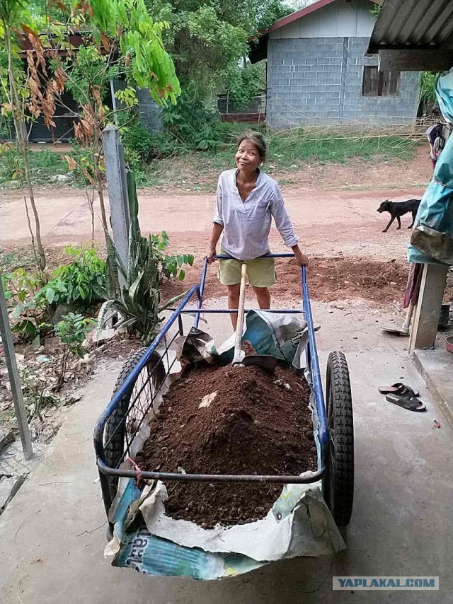 Бутан, таинственный Бутан