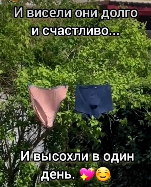 Так себе картинки 12.05.25