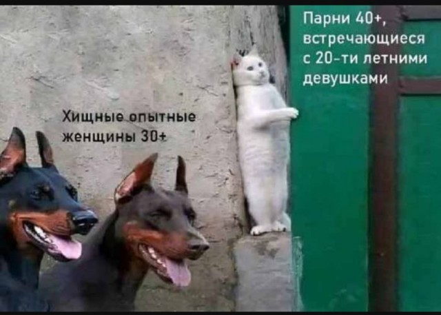 Завалялось тут случайно немного забавных картинок