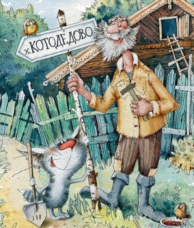 Так себе картинки 16.05.25