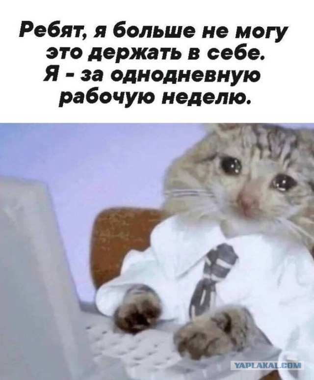 Ещё одна рабочая неделя прошла