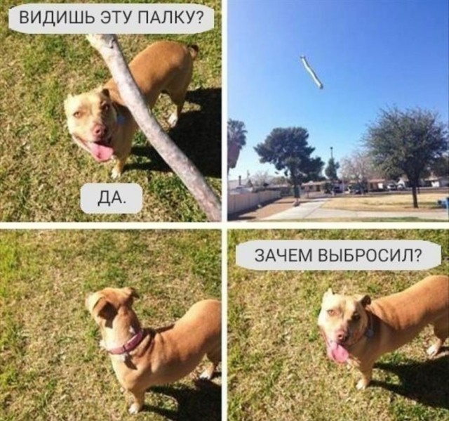 Один шанс на миллион!