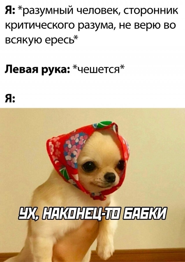 Так себе картинки 24.08.25