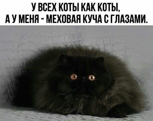 Так себе картинки 10.09.25
