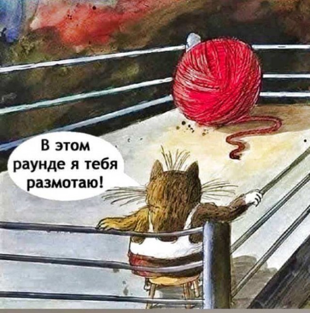 Картинки для деградации 51 (разной степени свежести)