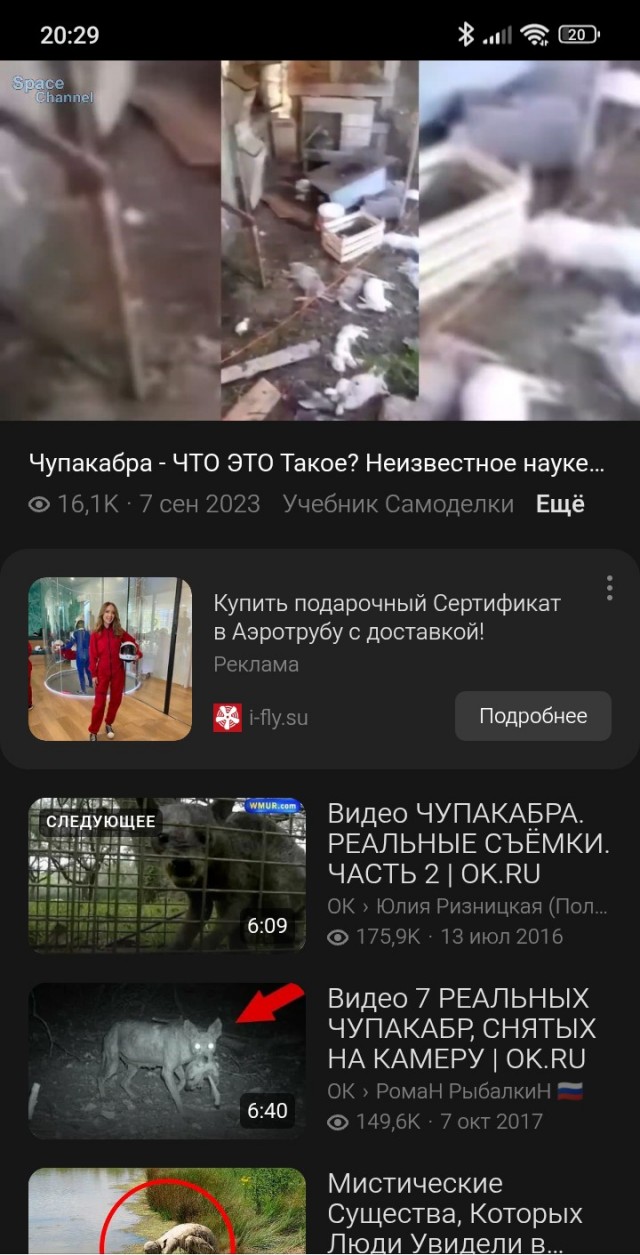 Вопрос к кураводам