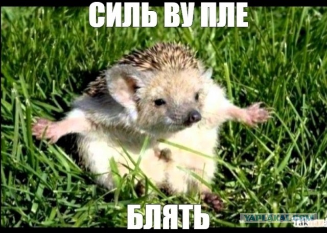 Мэр-узбек в Находке  хотел запретить православный крестный ход