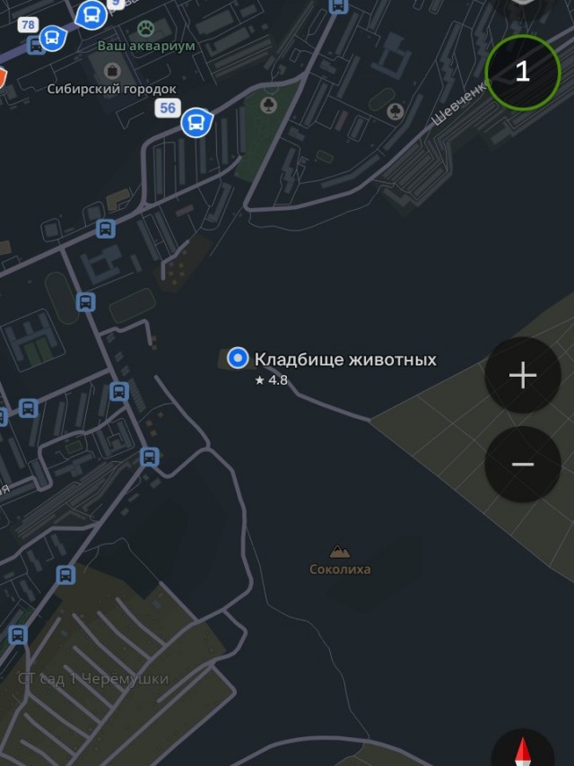 Жутким, но выгодным секретом для москвичей поделились в соцсетях