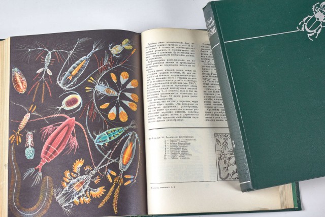 Книжные полки с книгами
