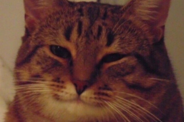 Получили люлей