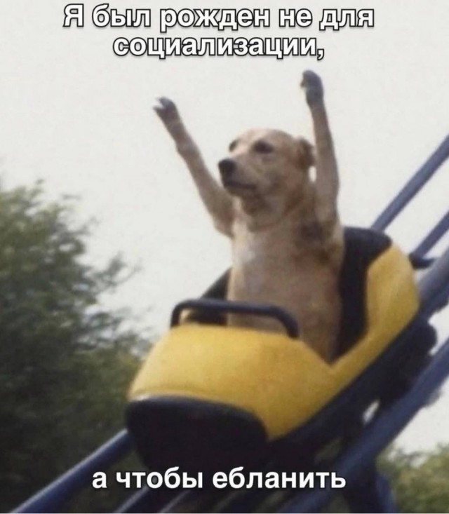 Деградация
