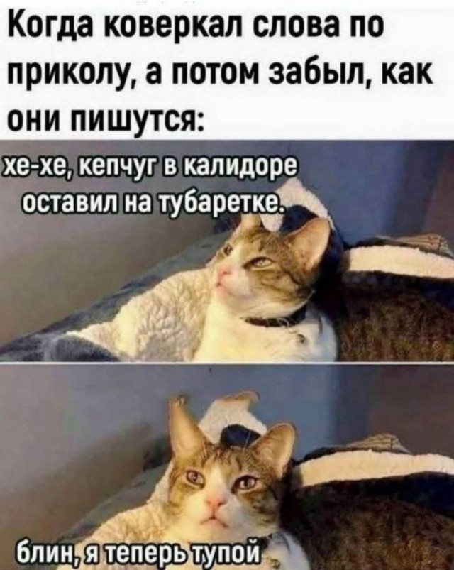 Картинки для деградации 178 (разной степени свежести)